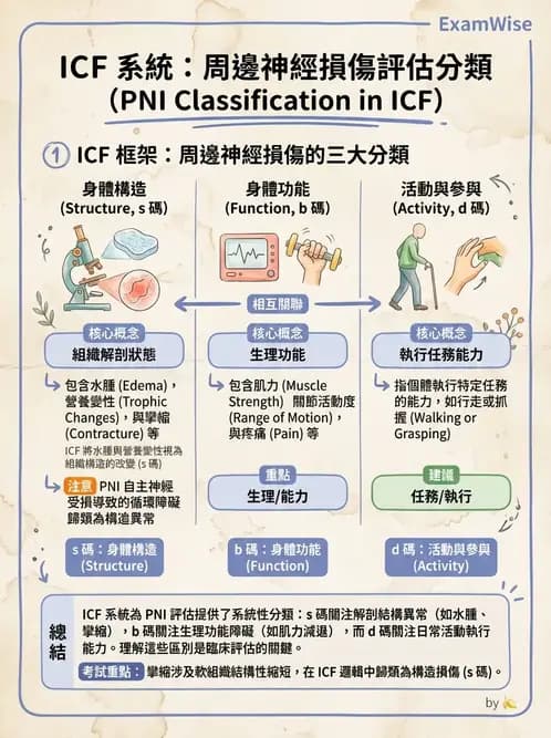 物治 - ICF分類與應用 - AI 圖文解析預覽