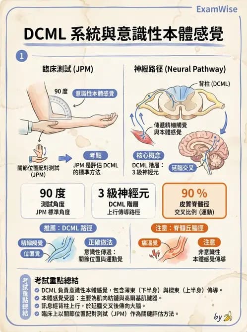 物治 - 神經物理治療評估工具 - AI 圖文解析預覽