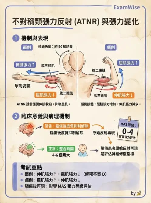 物治 - TBI病理評估與GCS - AI 圖文解析預覽