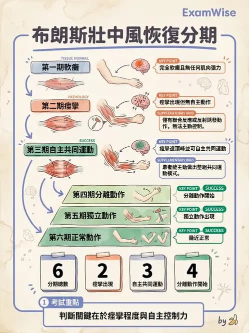 物治 - 腦中風動作評估與分期 - AI 圖文解析預覽