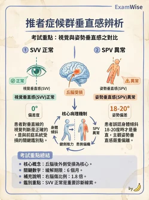 物治 - 腦中風姿勢控制平衡與轉位 - AI 圖文解析預覽