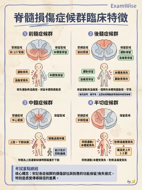 物治 - SCI評估分類與症候群 - AI 圖文解析預覽