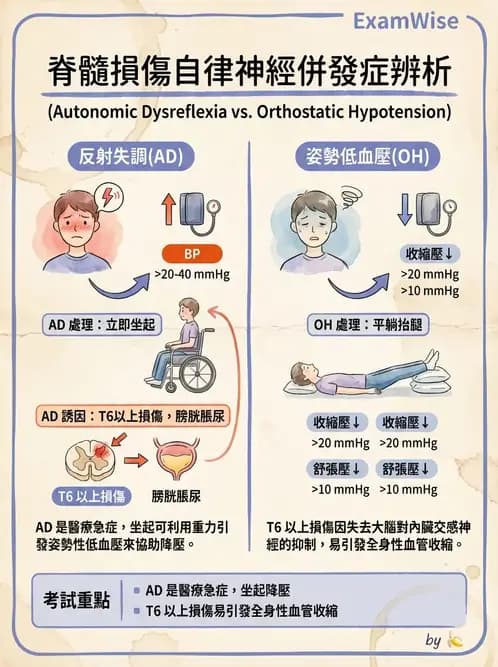 物治 - SCI併發症與呼吸管理 - AI 圖文解析預覽