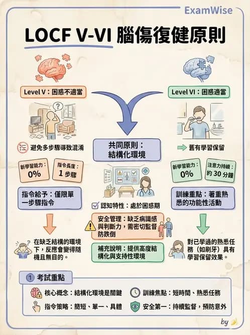 物治 - TBI LOCF分級與復健 - AI 圖文解析預覽