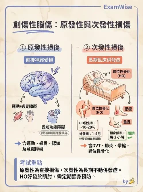 物治 - TBI LOCF分級與復健 - AI 圖文解析預覽