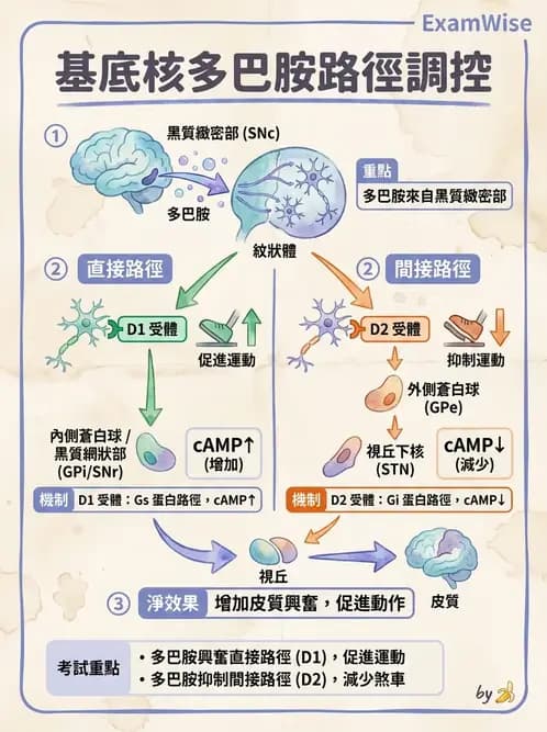 物治 - 巴金森氏病物理治療 - AI 圖文解析預覽