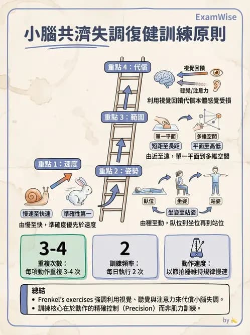 物治 - 小腦疾病物理治療 - AI 圖文解析預覽