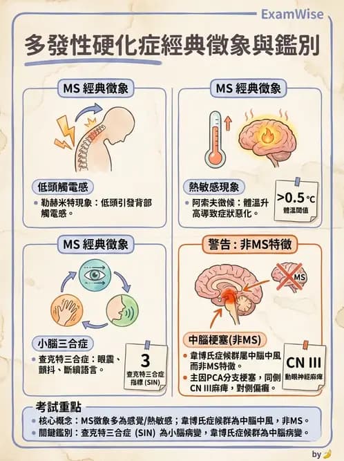 物治 - 多發性硬化症物理治療 - AI 圖文解析預覽