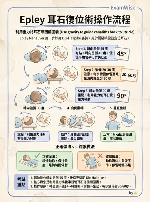 物治 - 前庭系統與前庭復健 - AI 圖文解析預覽