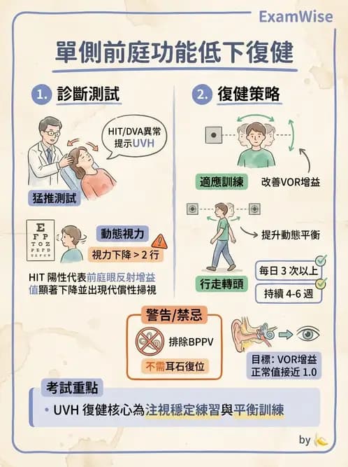 物治 - 前庭系統與前庭復健 - AI 圖文解析預覽