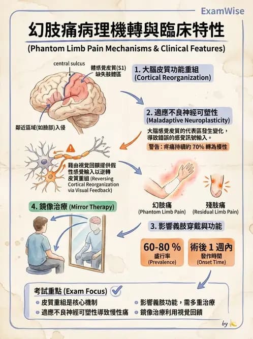 物治 - 截肢 - AI 圖文解析預覽