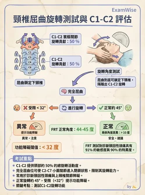 物治 - 頸椎評估與病理 - AI 圖文解析預覽