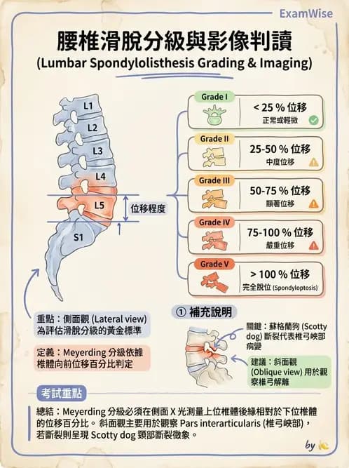 物治 - 腰椎椎間盤與脊椎狹窄 - AI 圖文解析預覽