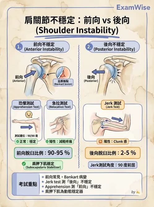 物治 - 肩關節不穩定與盂唇損傷 - AI 圖文解析預覽
