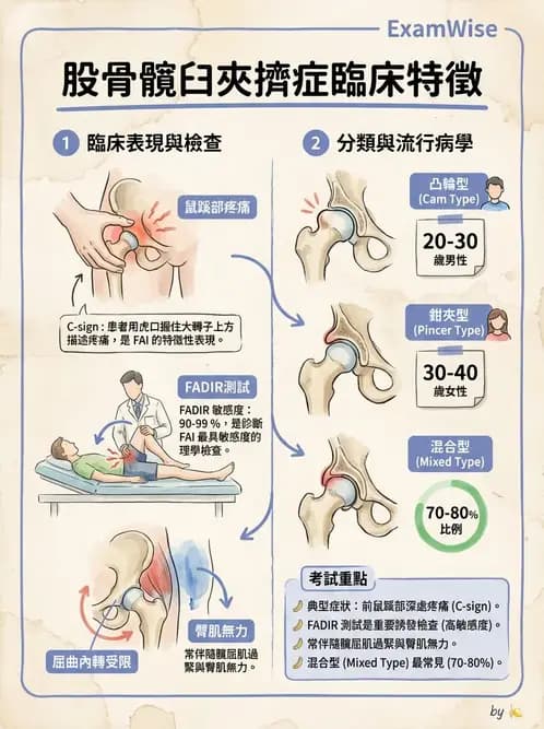 物治 - 髖關節病變與手術復健 - AI 圖文解析預覽