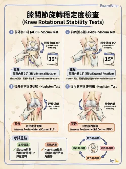 物治 - 膝關節韌帶與半月板損傷 - AI 圖文解析預覽