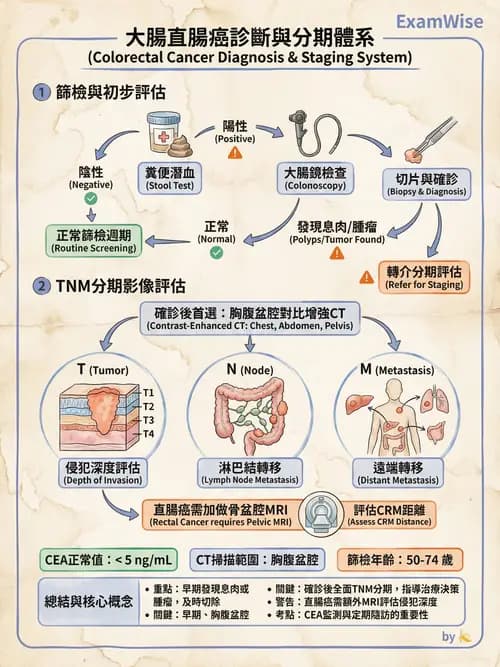 專師 - 肺癌與消化道癌 - AI 圖文解析預覽