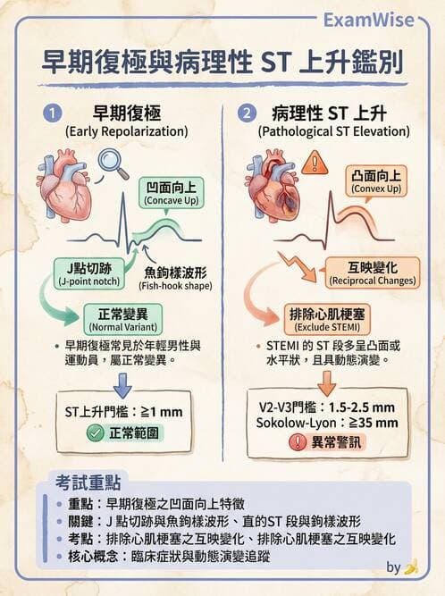 專師 - 心律不整與ECG判讀 - AI 圖文解析預覽