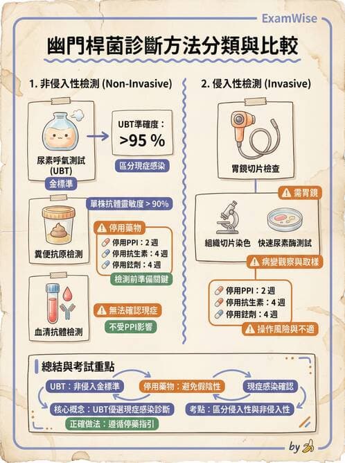 專師 - 上消化道 - AI 圖文解析預覽