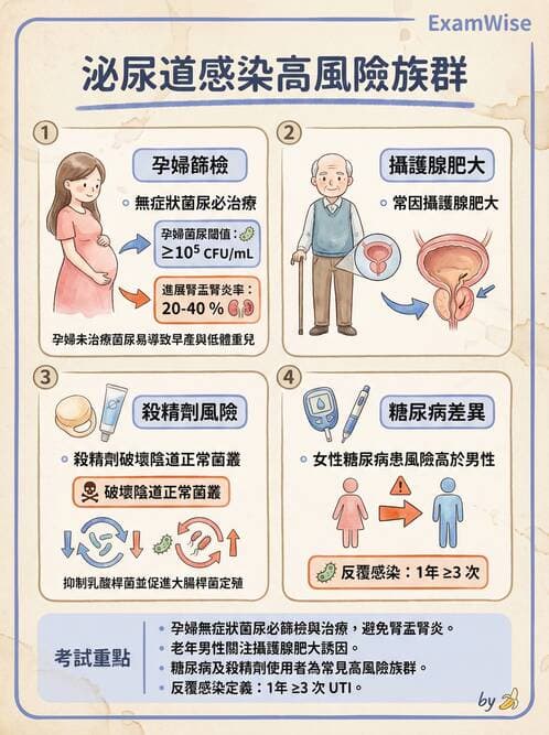專師 - 泌尿道感染 - AI 圖文解析預覽