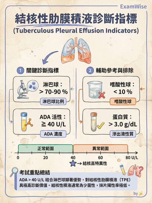 專師 - 肋膜疾病 - AI 圖文解析預覽