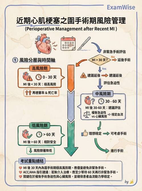 專師 - 髖關節疾病與手術 - AI 圖文解析預覽