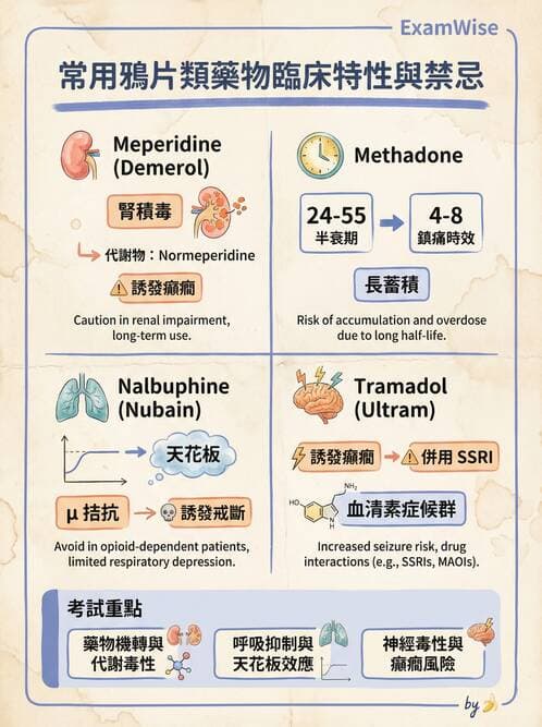 專師 - 術後疼痛控制 - AI 圖文解析預覽