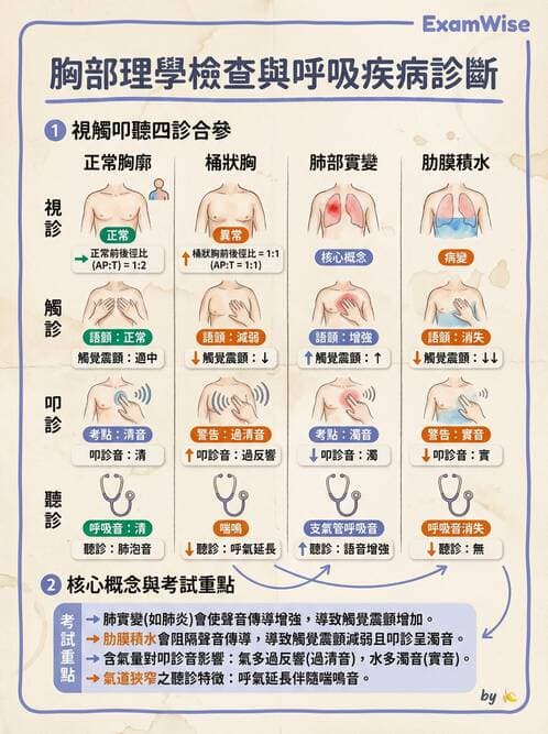 專師 - 呼吸治療與ABG - AI 圖文解析預覽