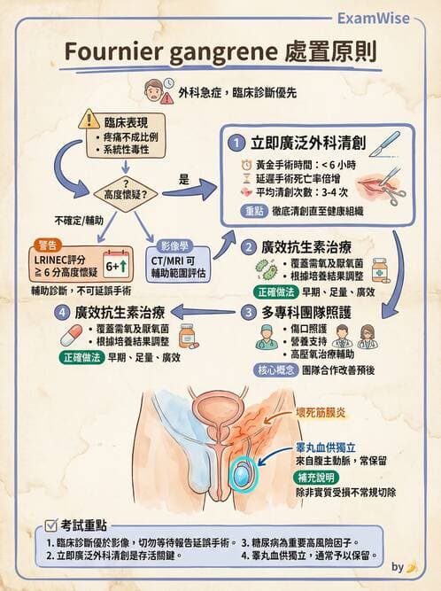 專師 - 腸道疾病與肛門直腸 - AI 圖文解析預覽