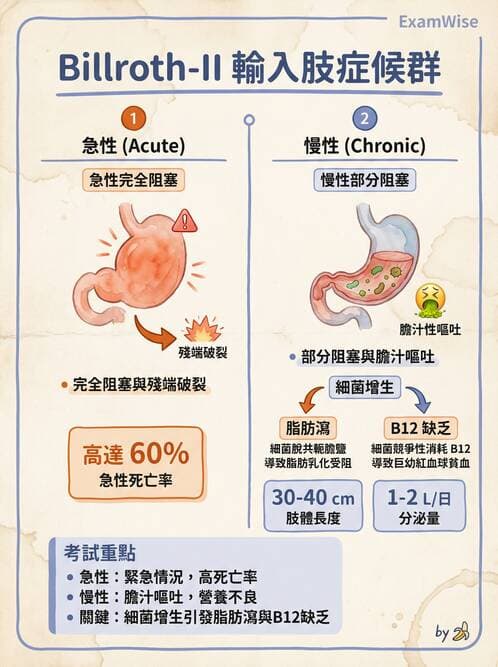 專師 - 上消化道與減重外科 - AI 圖文解析預覽