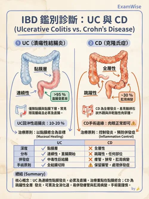 專師 - 腸道疾病與肛門直腸 - AI 圖文解析預覽