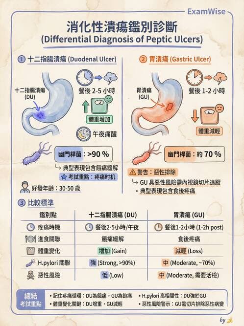 專師 - 上消化道 - AI 圖文解析預覽