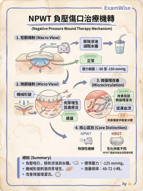 專師 - 皮膚移植與疤痕 - AI 圖文解析預覽