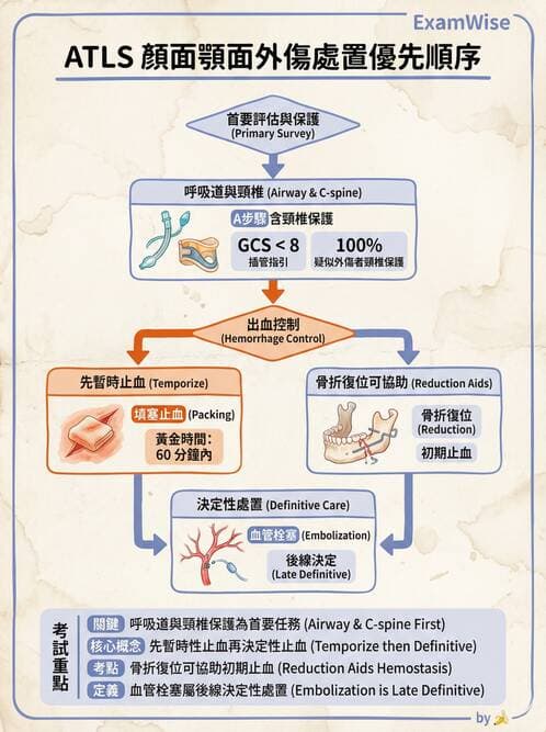 專師 - 創傷初評與呼吸道 - AI 圖文解析預覽