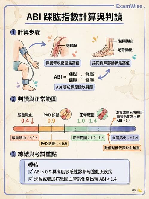 專師 - 周邊血管與靜脈疾病 - AI 圖文解析預覽