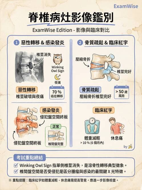 專師 - 脊椎疾病 - AI 圖文解析預覽