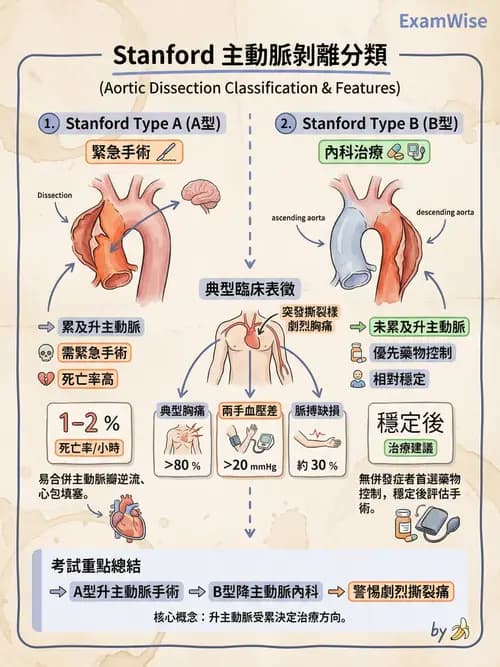 專師 - 主動脈疾病 - AI 圖文解析預覽