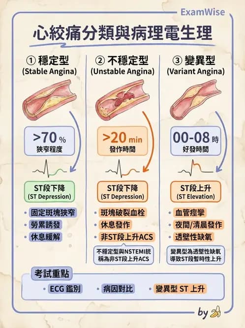 物治 - 冠狀動脈疾病與心臟手術 - AI 圖文解析預覽