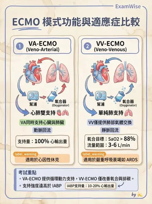 物治 - 重症加護物理治療 - AI 圖文解析預覽