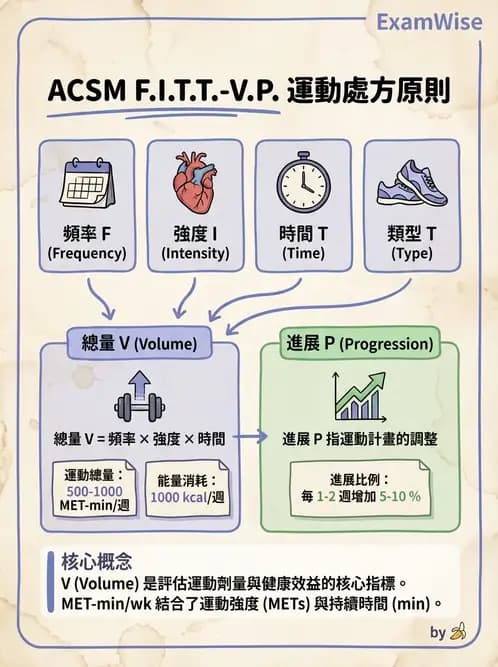 物治 - 運動篩檢與處方設計 - AI 圖文解析預覽