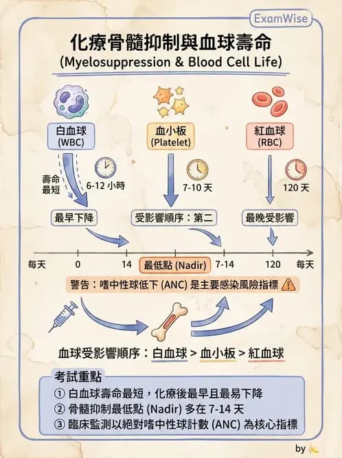 物治 - 癌症物理治療 - AI 圖文解析預覽