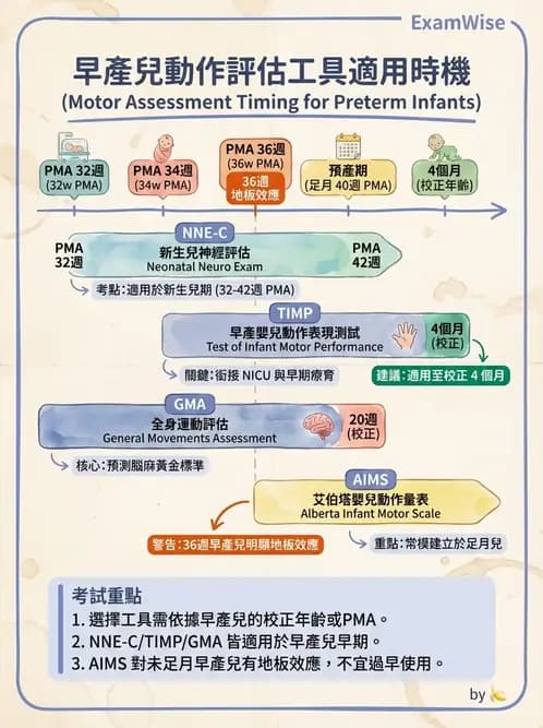 物治 - 新生兒與嬰兒發展評估 - AI 圖文解析預覽