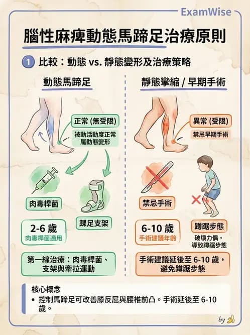 物治 - 腦性麻痺介入、手術與輔具 - AI 圖文解析預覽