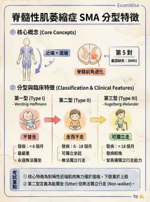 物治 - 脊柱裂、神經肌肉疾病與腦傷 - AI 圖文解析預覽