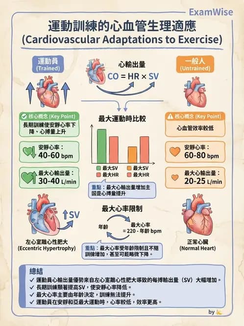 物治 - 運動與環境心肺生理 - AI 圖文解析預覽