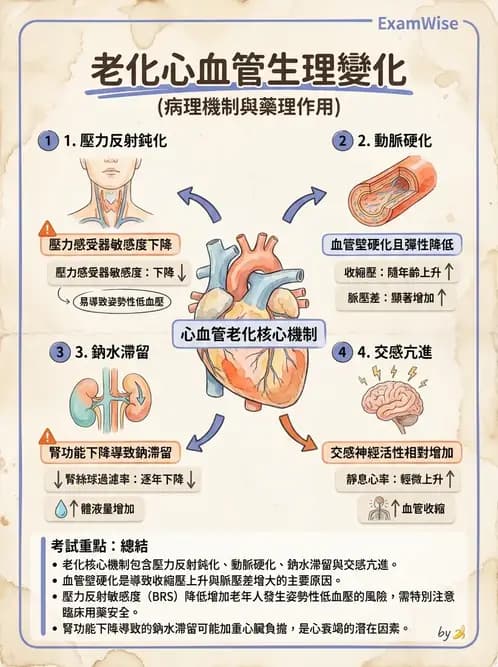 物治 - 心臟血管生理 - AI 圖文解析預覽