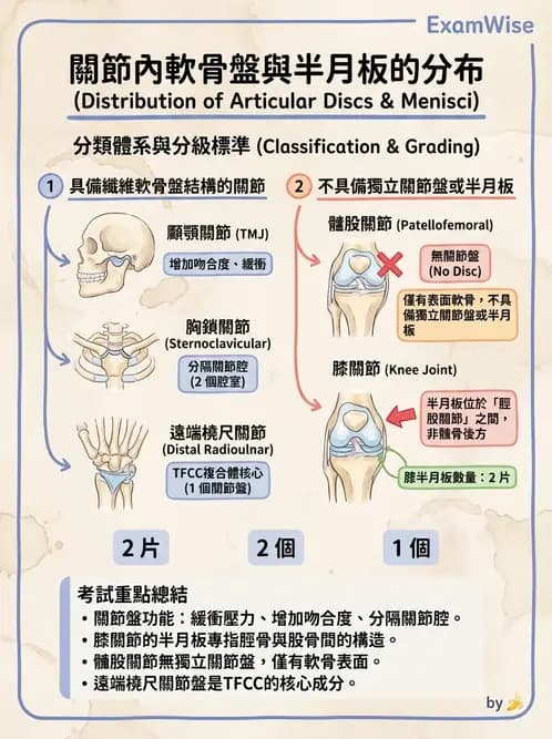 物治 - 骨骼與關節解剖 - AI 圖文解析預覽