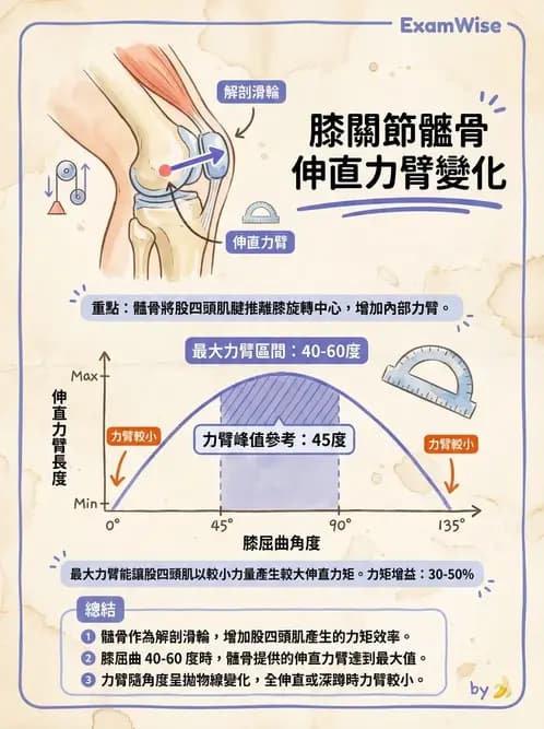 物治 - 膝關節肌動學與生物力學 - AI 圖文解析預覽