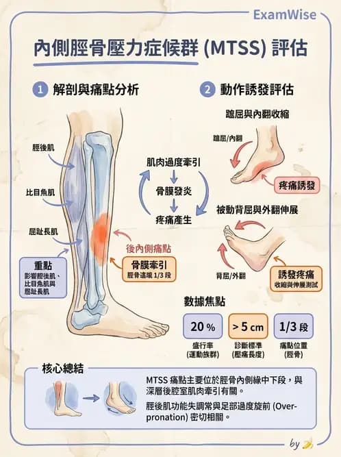 物治 - 踝與足部肌動學與生物力學 - AI 圖文解析預覽