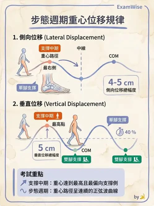 物治 - 步態週期與生物力學 - AI 圖文解析預覽